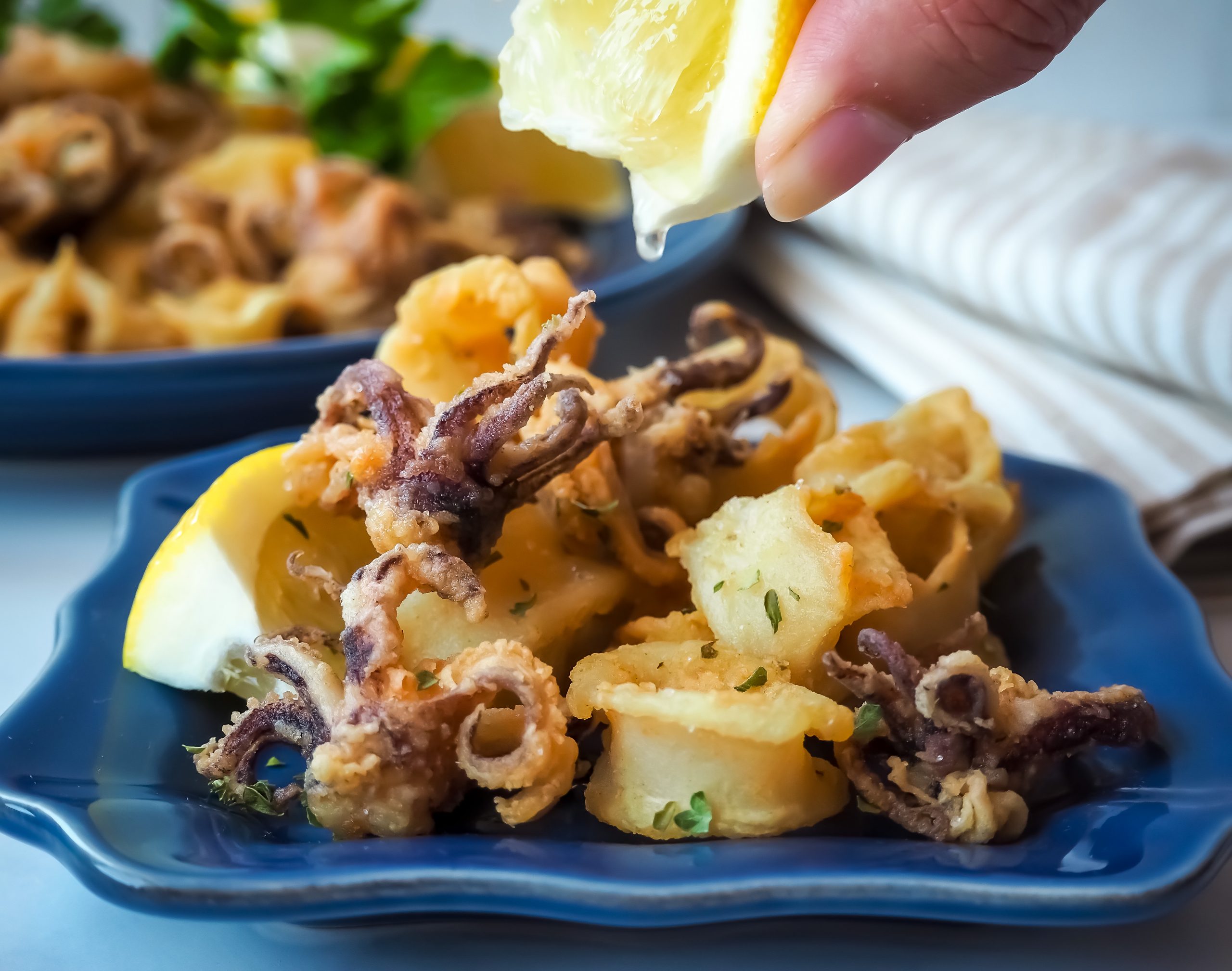 Calamari Cuisine